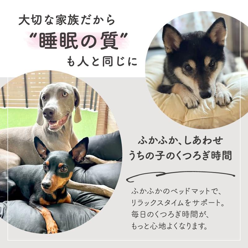 ペット ベッド ペットふとん 洗える 布団 クッション ペット用 犬 イヌ