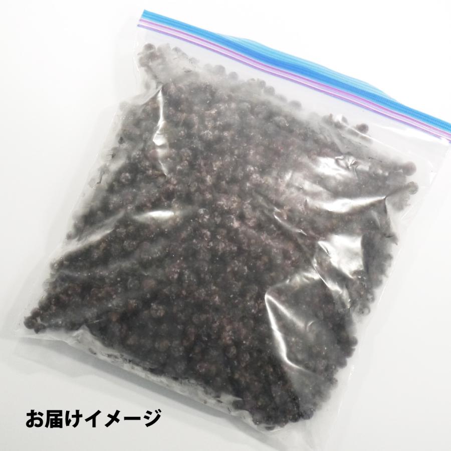 冷凍）国産冷凍カシス果実（青森県産・農薬不使用・山田さん）約1kg