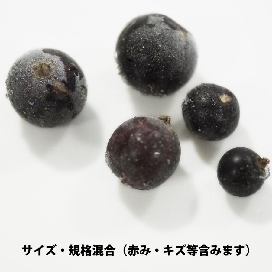 弘前産冷凍カシス20キロ 弘前産冷凍カシス20キロ 弘前産冷凍カシス20