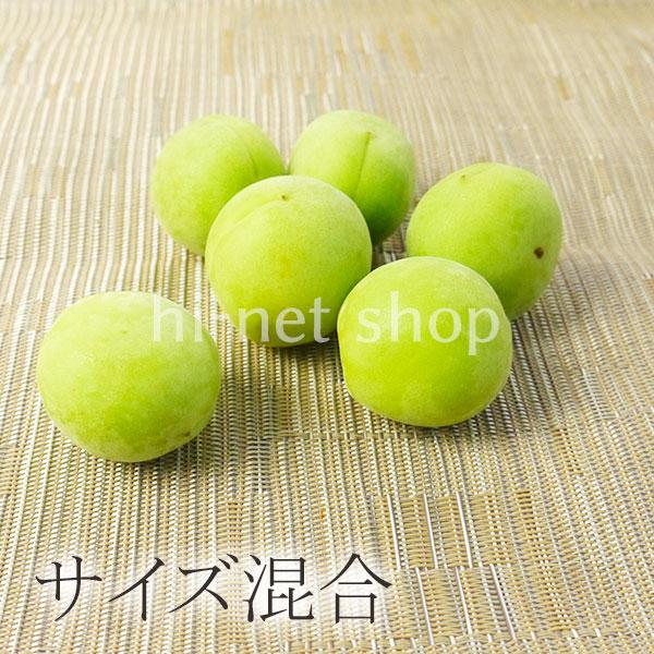 冷蔵）青森の青梅[豊後梅ぶんごうめ]M〜Lサイズ混合約3kg 梅 うめ 青