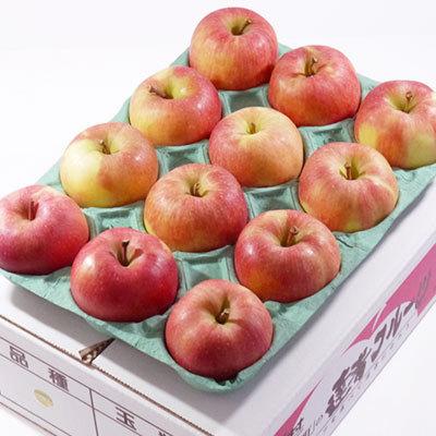 青森県産 樹上完熟蜜入りりんご「こうとく（高徳）」贈答用小玉りんご