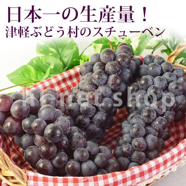 青森県産ぶどう「スチューベン」 約2kgx1箱(5〜12房）[津軽ぶどう村