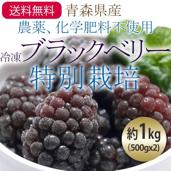 冷凍 青森県産農薬 化学肥料不使用冷凍国産ブラックベリー果実 特別栽培 サイズ混合約1kg 500gx2 送料無料 一部地域を除く 国産 ry 10 ハイネットショップヤフー店 通販 Yahoo ショッピング