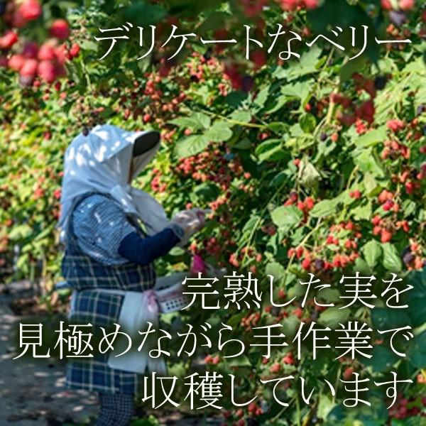 冷凍）青森県産農薬・化学肥料不使用冷凍国産ブラックベリー果実（特別