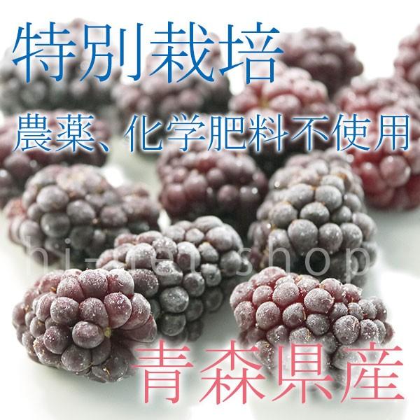 冷凍）青森県産農薬・化学肥料不使用冷凍国産ブラックベリー果実（特別