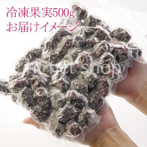 冷凍）青森県産農薬・化学肥料不使用冷凍国産ブラックベリー果実（特別