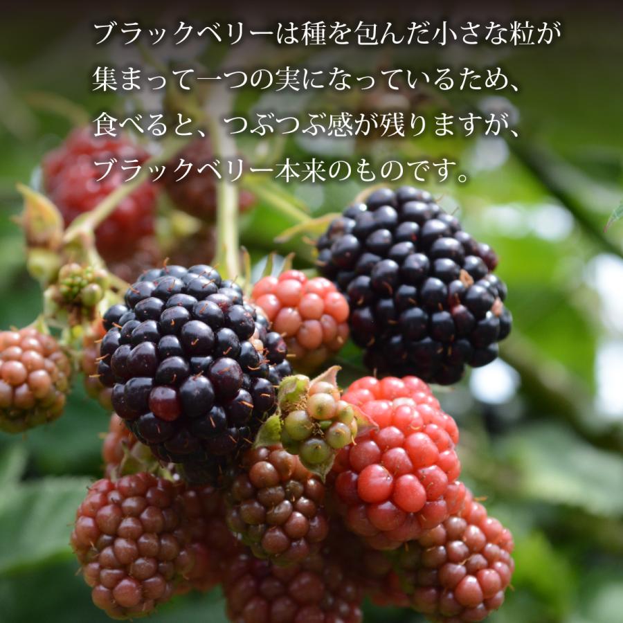 冷凍）青森県産農薬・化学肥料不使用冷凍国産ブラックベリー果実（特別