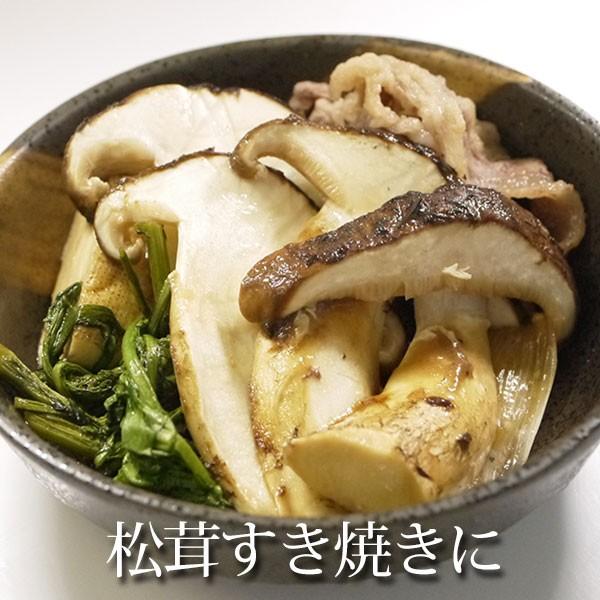 冷蔵）国産岩手の天然松茸【開き】多め 約200g サイズ混合※採れ