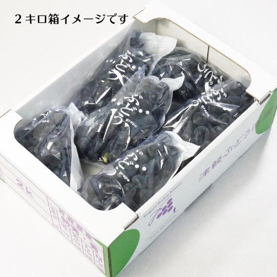 冷蔵）青森県産ぶどう「キャンベル」農薬・化学肥料不使用約2kg（5〜7