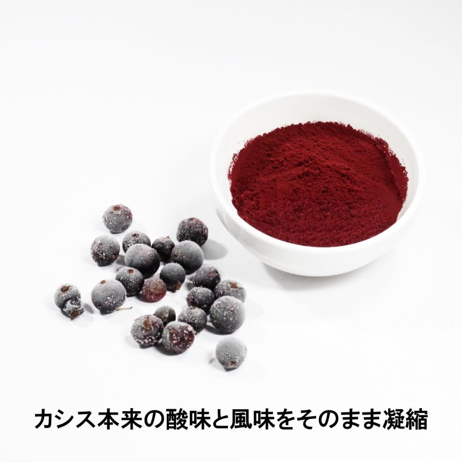 カシスパウダー(無添加・無糖）100gx1袋 青森県産カシス使用 国産