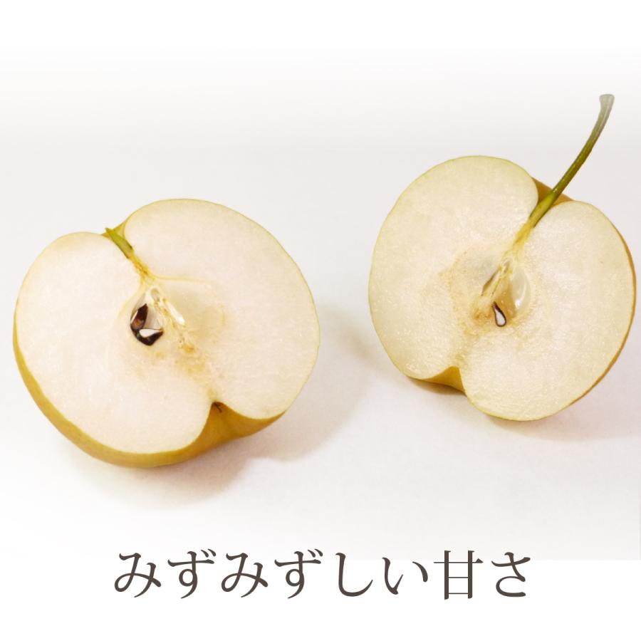長十郎梨 [家庭用/サイズ混合]青森県産 約3kg（6〜10玉）ちょうじゅう