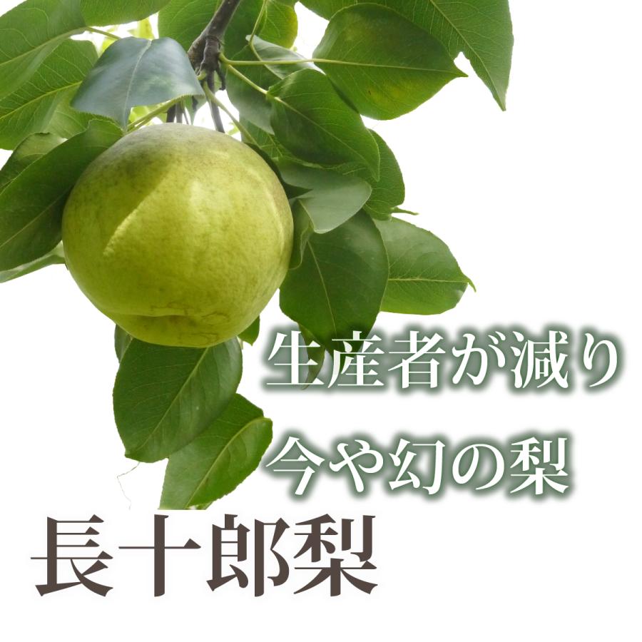 長十郎梨 [家庭用/サイズ混合]青森県産 約3kg（6〜10玉）ちょうじゅう