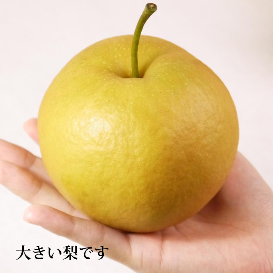 長十郎梨 [家庭用/サイズ混合]青森県産 約3kg（6〜10玉）ちょうじゅうろうなし 和梨 日本梨 : ハイネットショップヤフー店 - 通販 ...
