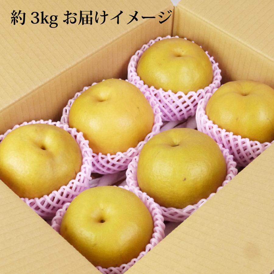 旬の長十郞梨 。約3kg詰め合わせ 長十郎梨 [家庭用/サイズ混合]青森県産 約3kg（6〜10玉）ちょうじゅう
