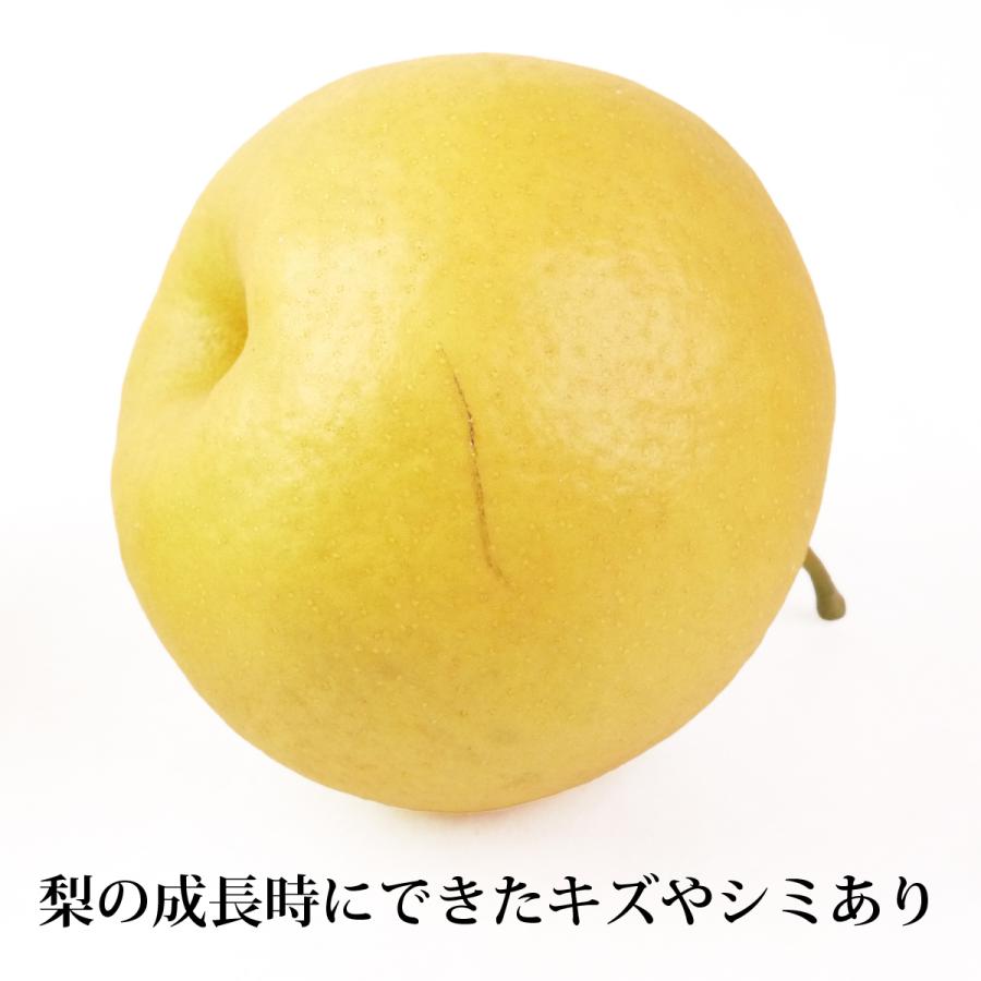 長十郎梨 [家庭用/サイズ混合]青森県産 約3kg（6〜10玉）ちょうじゅう