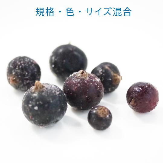 弘前産冷凍カシス(2024年) 弘前産冷凍カシス20キロ 弘前産冷凍カシス