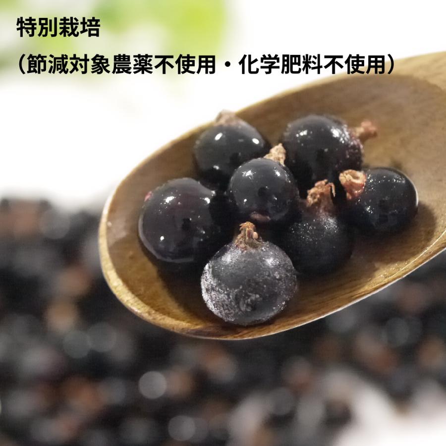 冷凍）青森県産カシス冷凍果実(特別栽培) サイズ混合約2kg : ハイ