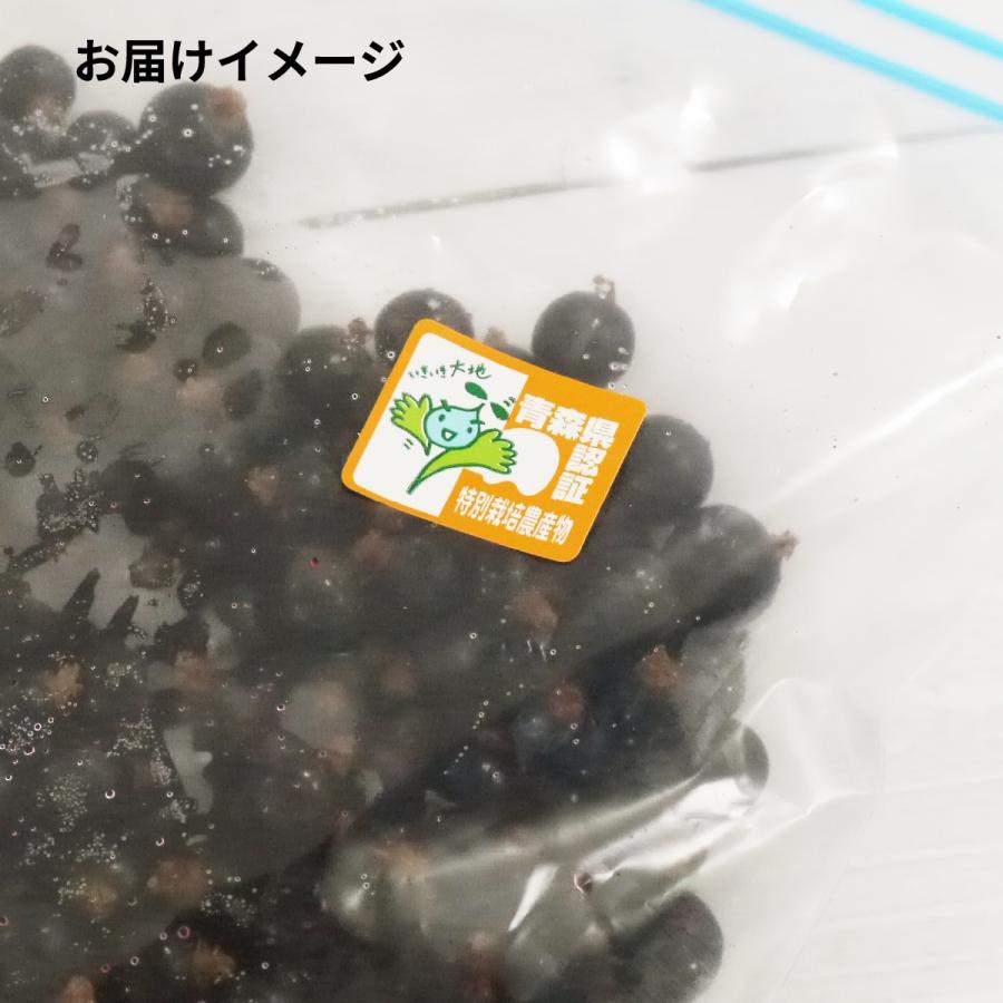 冷凍）青森県産カシス冷凍果実(特別栽培) サイズ混合約2kg : ハイ