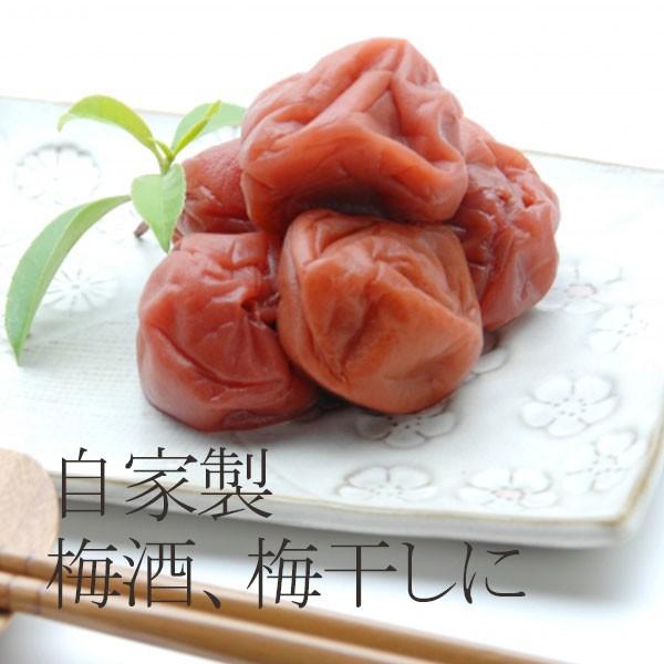 冷蔵）青森の色梅（完熟梅）[豊後梅ぶんごうめ]4L〜5Lサイズ混合約3kg