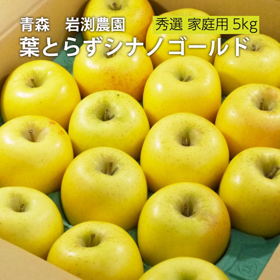 葉とらずりんご「シナノゴールド」【秀選】家庭用5kgx1箱（14-20