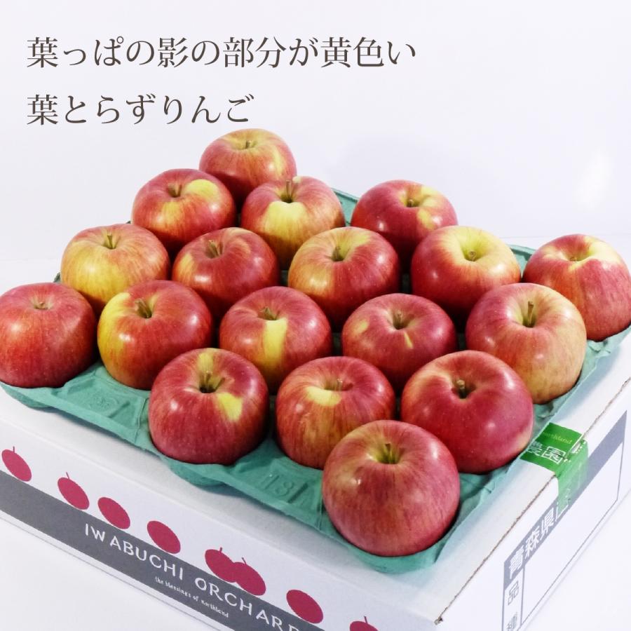 秋田県かづの産　葉とらずシナノスイート　ご家庭用　５Ｋ×２ 葉とらずりんご シナノスイート【秀選・家庭用】5kg(約16-20個