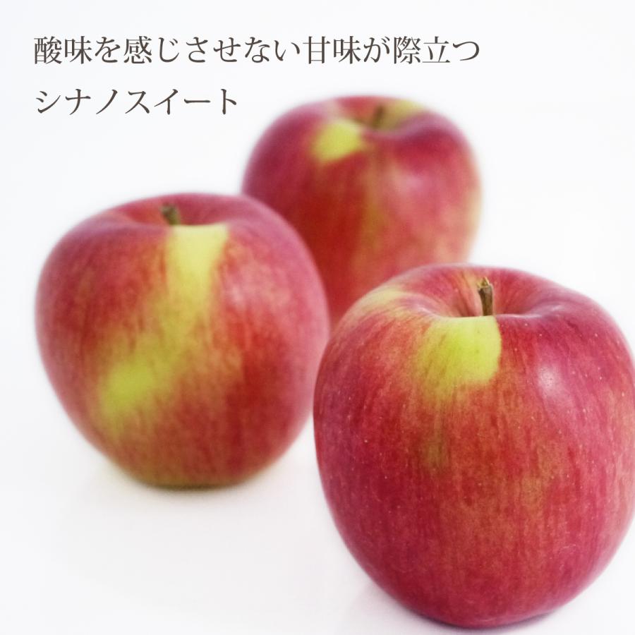 葉とらずりんご シナノスイート【秀選・家庭用】5kg(約16-20個
