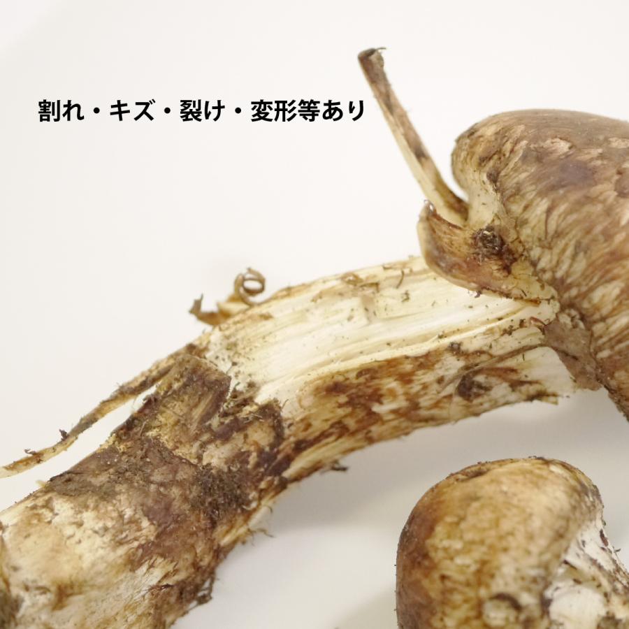 冷蔵）岩手天然国産「松茸」約300g【訳あり（割れ・キズ等あり