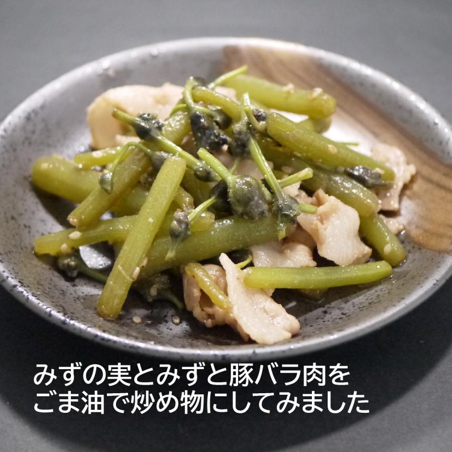 冷蔵 青森天然山菜みずの実約100gと赤みず 皮むき済み 約1kgセット 佐々木さん ミズのこぶ ミズのこ ミズムカゴ Mizset ハイネットショップヤフー店 通販 Yahoo ショッピング