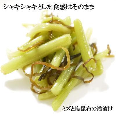 山菜ミズ根っこ付き5㌔以上になります。水洗いしてブロック保冷剤2㌔お詰めします 冷蔵）青森の天然山菜「赤みず」皮むき済（ミズ・ウワバミソウ）約1kg