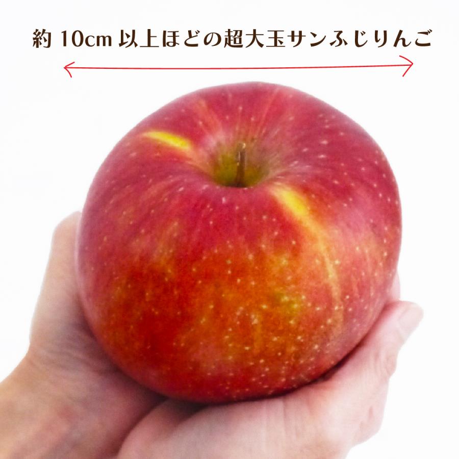 青森りんご「サンふじ」[超大玉]秀品 約10kg(20〜24個) 青森県南部町産