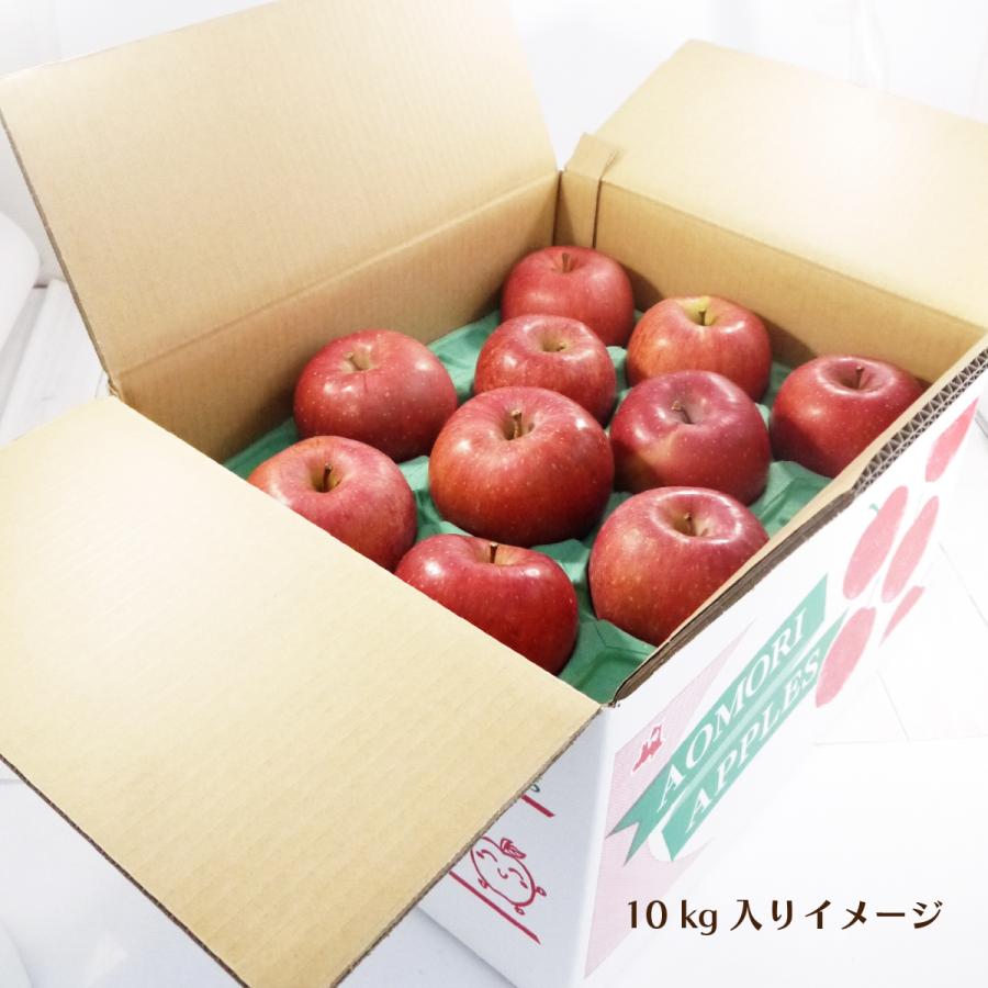 青森りんご「サンふじ」[超大玉]秀品 約10kg(20〜24個) 青森県南部町産