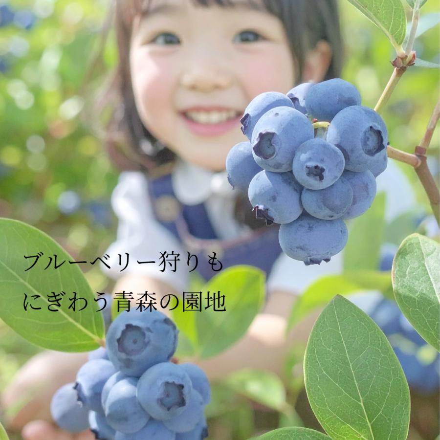 冷凍）青森県産完熟ブルーベリー 国産ブルーベリー 1kg 冷凍