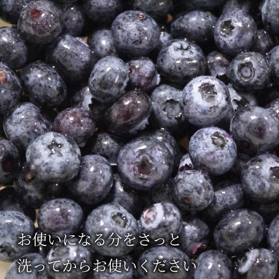 冷凍）青森県産完熟ブルーベリー 国産ブルーベリー 1kg 冷凍