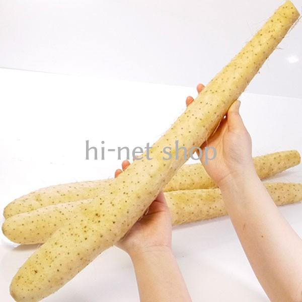 長芋（長いも ながいも）青森六戸産【贈答用】L〜2Lサイズ約10kg（12
