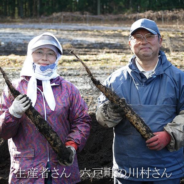 長芋(長いも ながいも)青森六戸産【贈答用】L〜2Lサイズ約5kg 長芋(長いも ながいも)青森六戸産【贈答用】L〜2Lサイズ約5kg