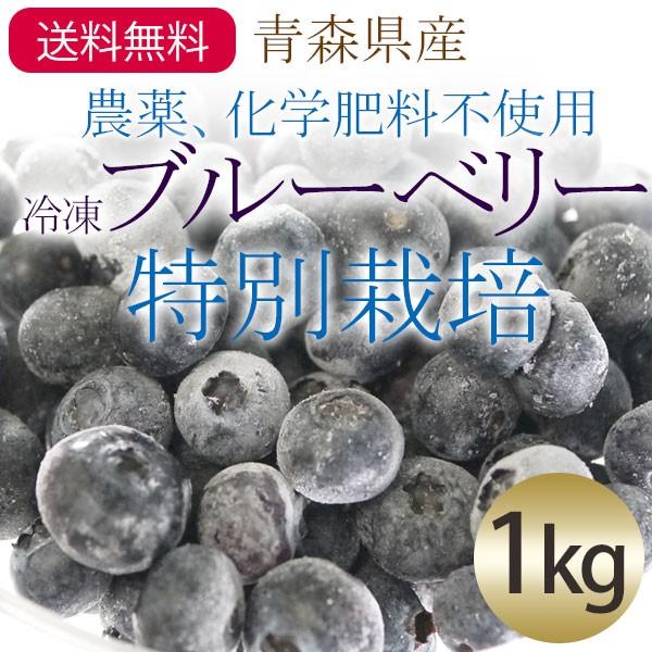 期間限定特別価格 人気No.1 冷凍 青森県産農薬 化学肥料不使用冷凍ブルーベリー果実 特別栽培 ※サイズ混合約1kg 国産 italytravelpapers.com italytravelpapers.com