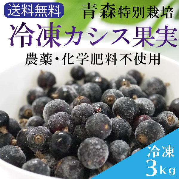 100 の保証 冷凍 青森南部町産農薬 化学肥料不使用の特別栽培 冷凍カシス 果実約3kg 一部地域を除く カシス すぐり 国産カシス 冷凍フルーツ 保存版 Kwsrbd Com