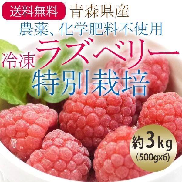 売れ筋 冷凍 青森県産農薬 化学肥料不使用冷凍国産ラズベリー フランボワーズ 果実 特別栽培 サイズ混合約3kg 500gx6 送料無料 一部地域を除く 21年新物 国産の農薬 化学肥料不使用の特別栽培冷凍ラズベリー フルーツ Affaires Sociales Gouv Cg