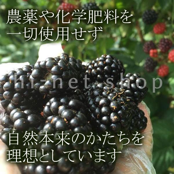 冷凍）青森県産農薬・化学肥料不使用ブラックベリー果実（トリプル