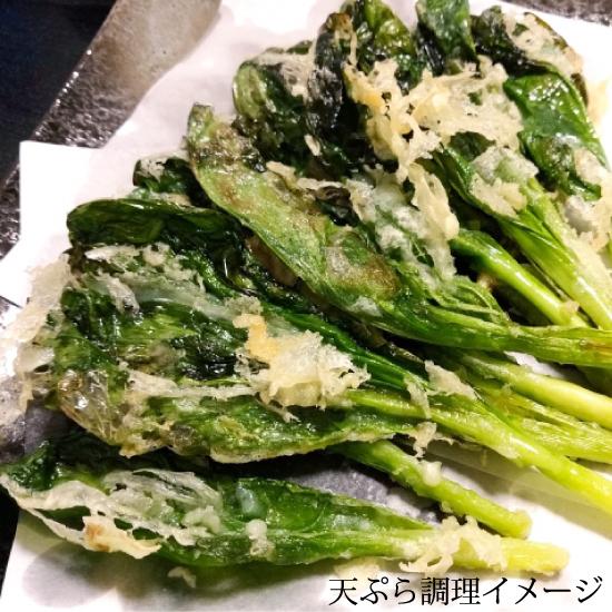 冷蔵）青森の天然山菜 行者にんにく約300g（アイヌネギ、ヤマニンニク