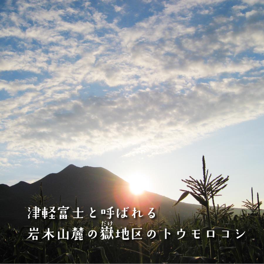 冷蔵）青森とうもろこし嶽きみ（だけきみ）M〜Lサイズ混合10本 : ハイ