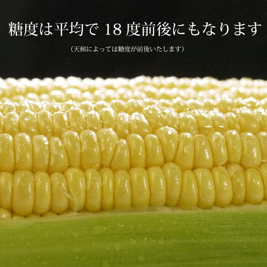 冷蔵）青森とうもろこし嶽きみ（だけきみ）M〜Lサイズ混合10本 : ハイ