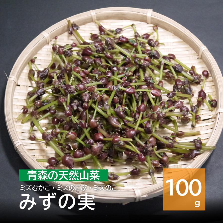 ミズの実 みすの実 みずのこぶ 大自然の凛さん採取予定 山形県産 その999 35f40f7760a04ae82b5b3fa9416b76