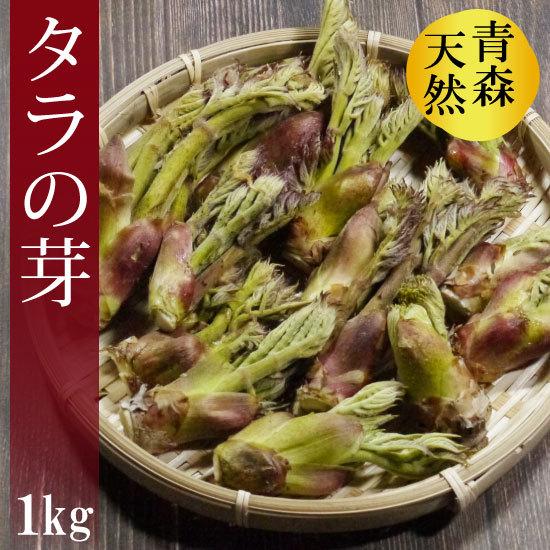 冷蔵）青森の天然山菜 タラの芽（タラノキ・タラノメ）サイズ混合約1kg 