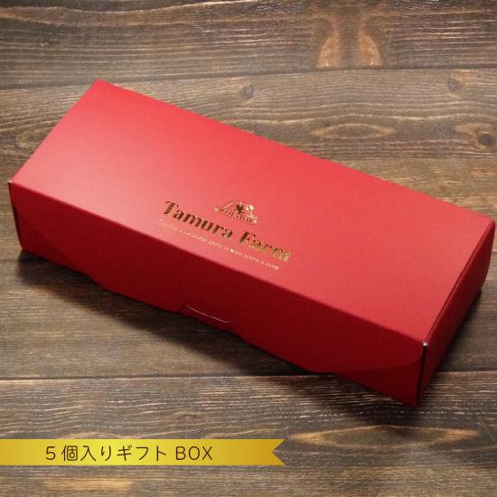 冷蔵）とれたて紅玉のアップルパイ5個入（プレーン5個）[タムラ