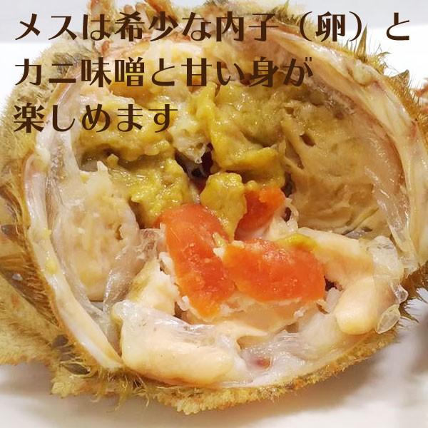 冷蔵 活青森トゲクリガニ メス 約3kg 12 18ハイ 青森むつ湾産 送料無料 一部地域を除く 桜蟹 栗蟹 Yama T M3 ハイネットショップヤフー店 通販 Yahoo ショッピング