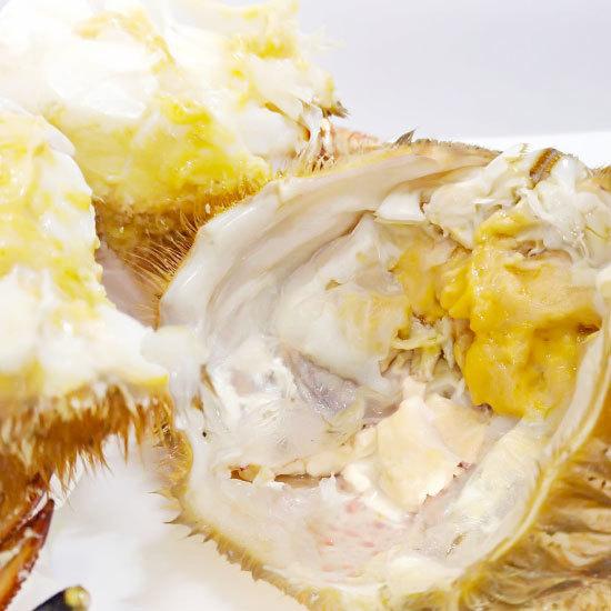 冷蔵）青森活トゲクリガニ[オス]サイズ混合約3kg（9〜18ハイ）クリガニ