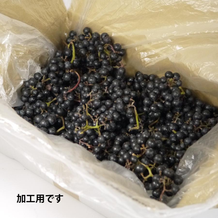 冷蔵）岩手県産山ぶどう【在来系】 加工用約10kg 山葡萄 : ハイネット