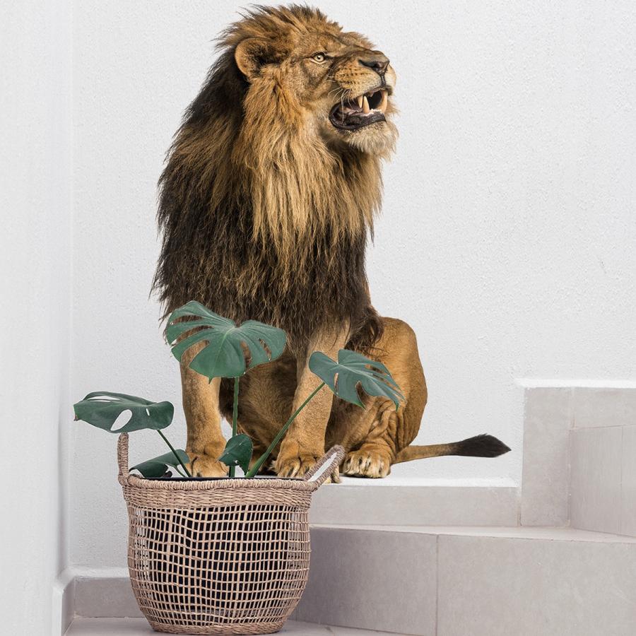 送料込み　ウォールステッカー　３D ライオンキング　動物 壁画　壁シート 壁飾り 壁紙　雰囲気変え 壁シール インテリア DIY 　模様替え |  | 03