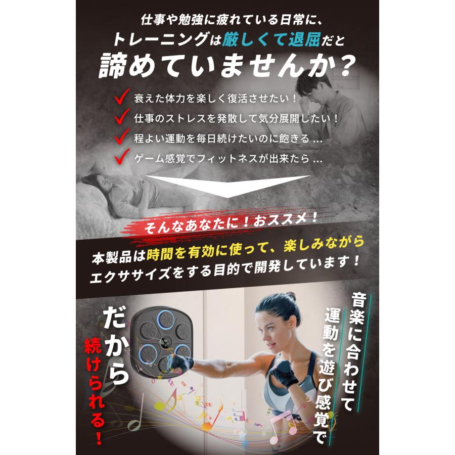 【技適マーク取得済商品/プロのキックボクサー監修】 音楽ボクシングマシン パンチングマシーン ボクシング マシン 壁掛け ボクシングマシン パンチング マシン |  | 02